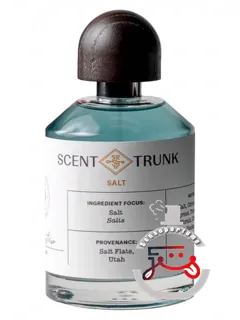 سالت سِنت ترانک | salt scent trunk